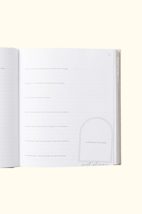 Becoming Mama Journal