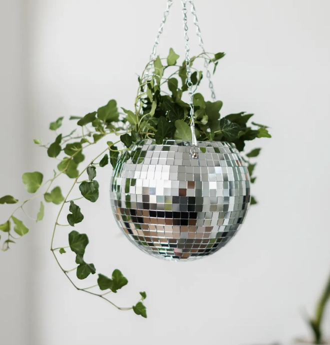 A hanging planter designed as a disco ball, filled with vibrant green plants, bringing a touch of glamour and greenery to the space.