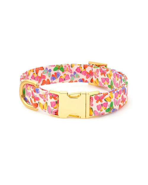 Bright Butterflies Pet Collar