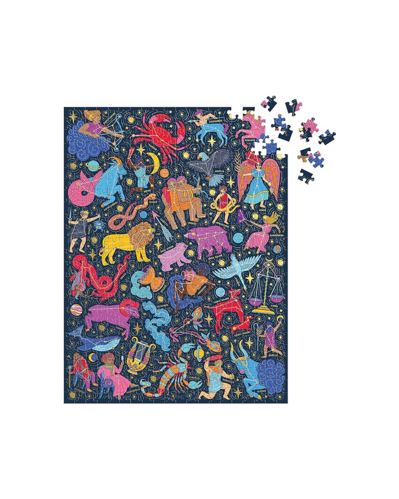 Constellations 101 Stargazing Puzzle