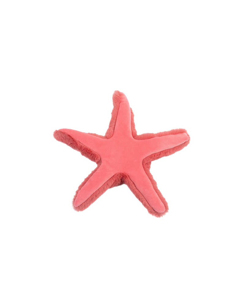 Coral Starfish