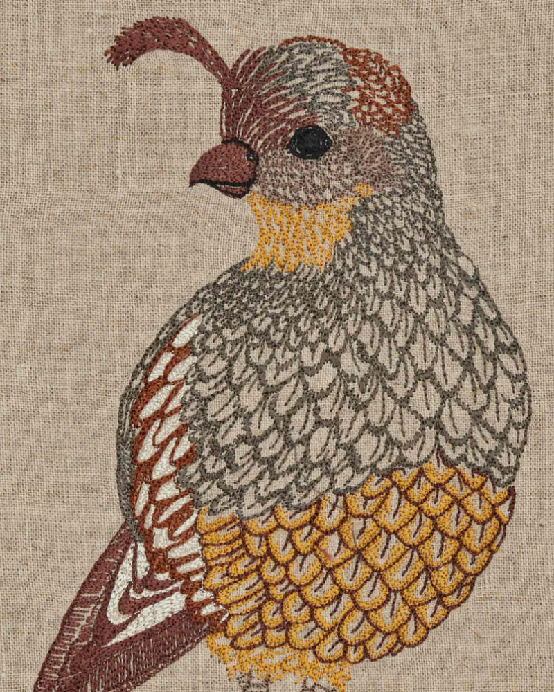 Lady Desert Quail Tea Towel