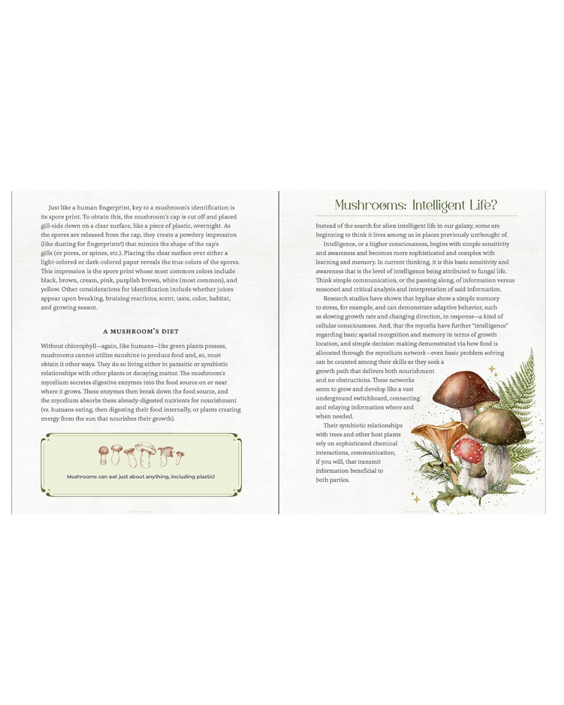 Mystical Mushrooms Book