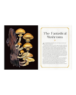 Mystical Mushrooms Book