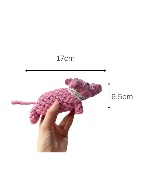 Piggy Rope Dog Toy