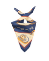Rodeo Roundup Bandana