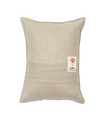 Saguaro House Pocket Pillow