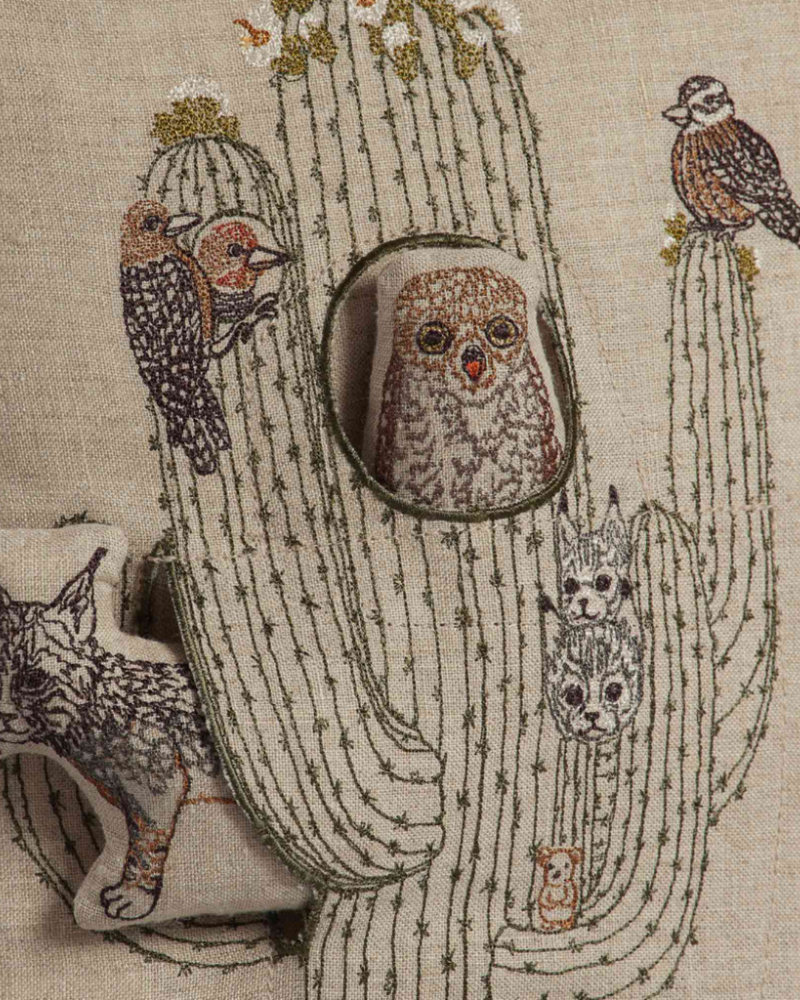 Saguaro House Pocket Pillow