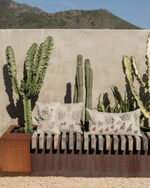 Saguaro House Pocket Pillow