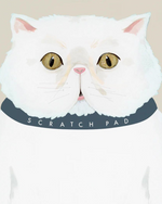 Scratch Pad