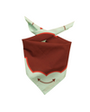 Understated Western Bandana