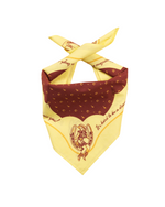 Vintage Cowgirls Bandana