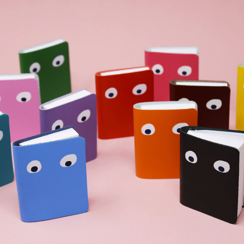 Googly Eye Mini Notebook