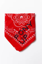 Pony Up Game Day Bandana